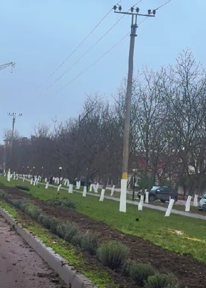 Împreună construim o comunitate mai verde și mai unită!