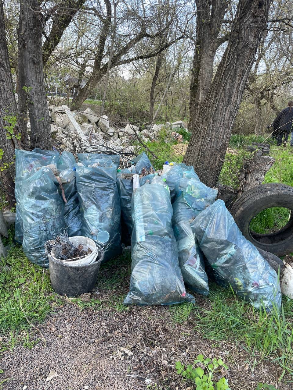Centrul de Tineret Ciorescu readuce curățenia în Parcul „Albinița” printr-o acțiune de salubrizare!