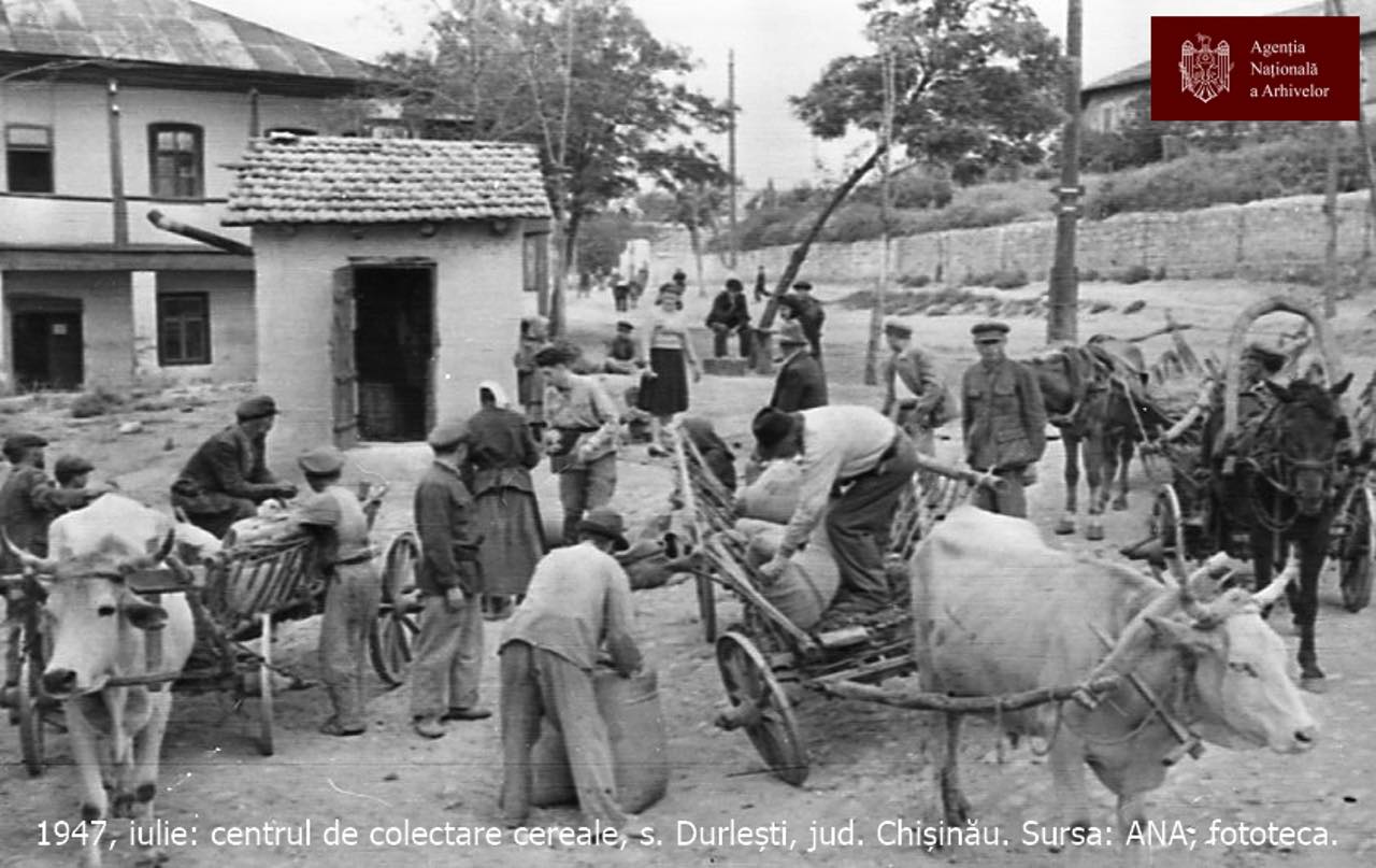 80 de ani de la foametea din 1946: lecția trecutului despre memorie, responsabilitate și valoarea păcii!