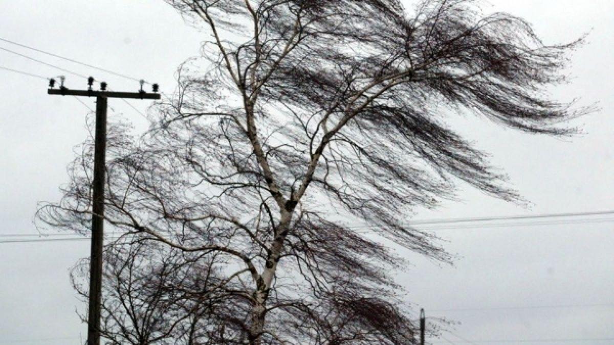 Avarii extinse în rețelele electrice din Moldova din cauza vântului puternic, mii de consumatori afectați!
