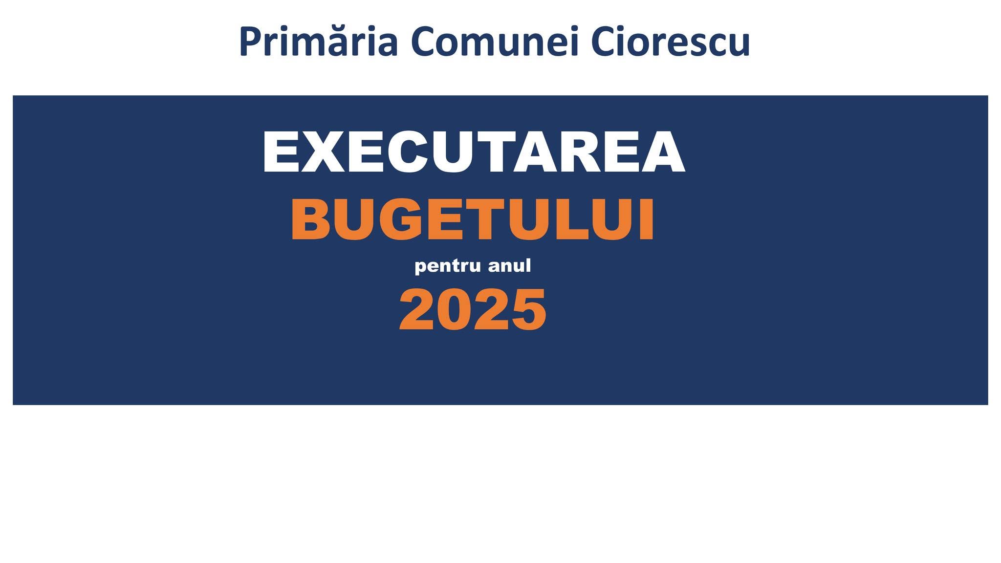 BUGETUL EXECUTAT PENTRU ANUL 2025!