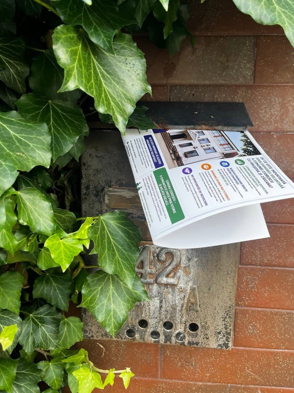 Voluntarii Centrului de Tineret Ciorescu demonstrează încă o dată că implicarea tinerilor poate aduce schimbări frumoase în comunitate!